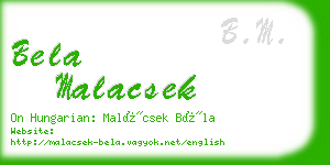 bela malacsek business card